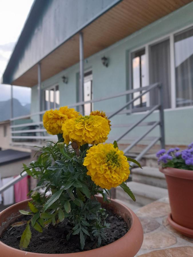 Kera Guest House Kazbegi Luaran gambar